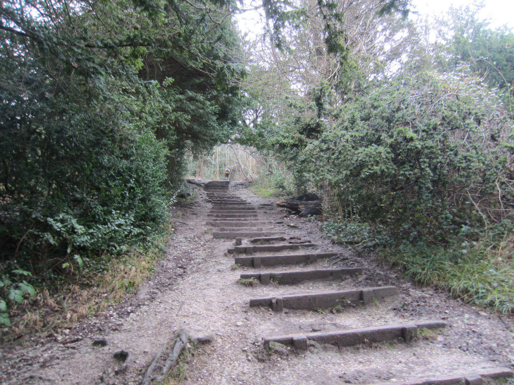 Steps up box hill