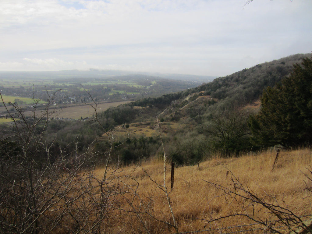 Grown over Quarry