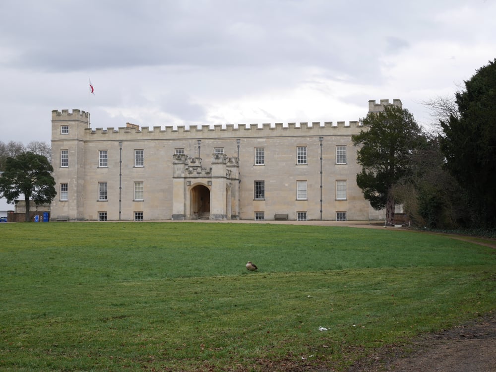 Syon House and a pheasant?