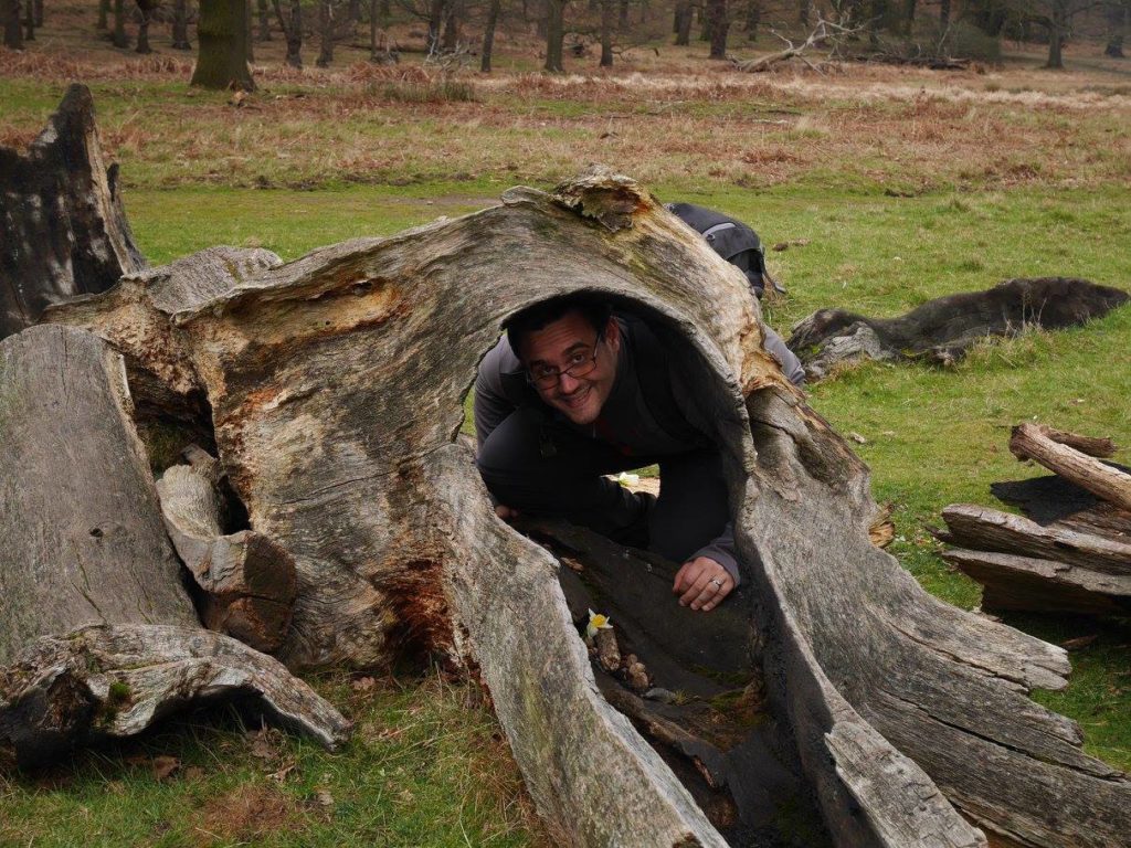 Hiding in a tree