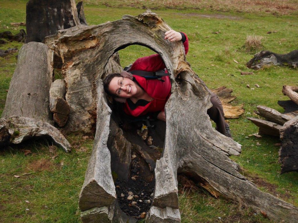 Hiding in a tree