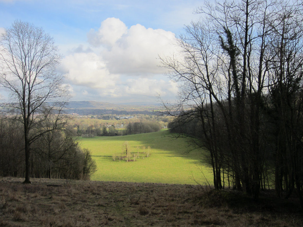 View from Gatton Park