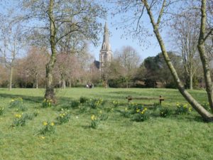 The view of St Mary's