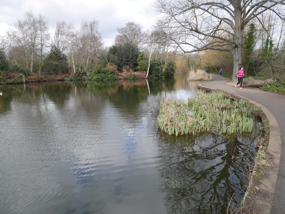 Wandsworth Common pond
