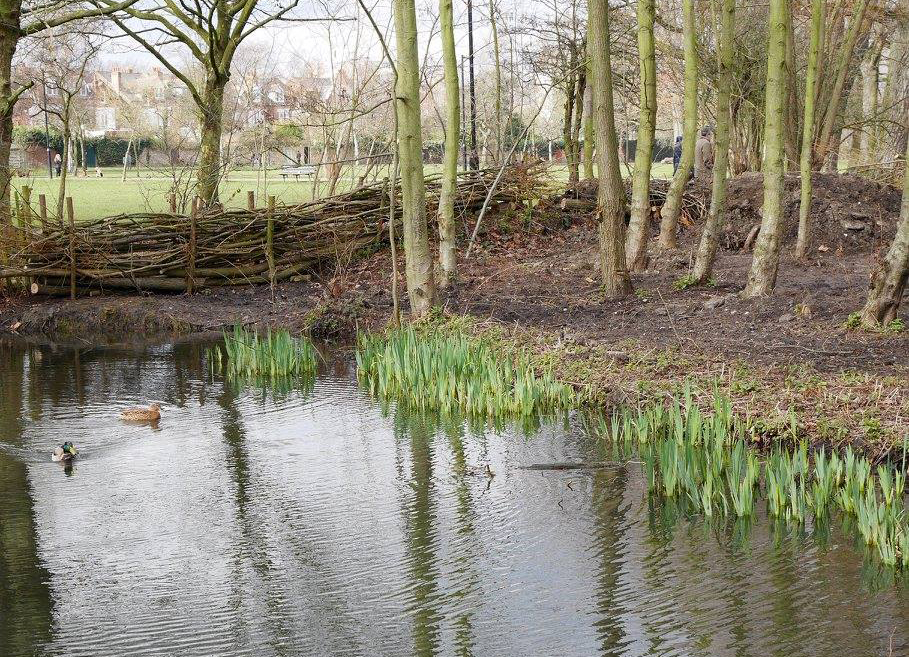 The pond on Wandsworth Common