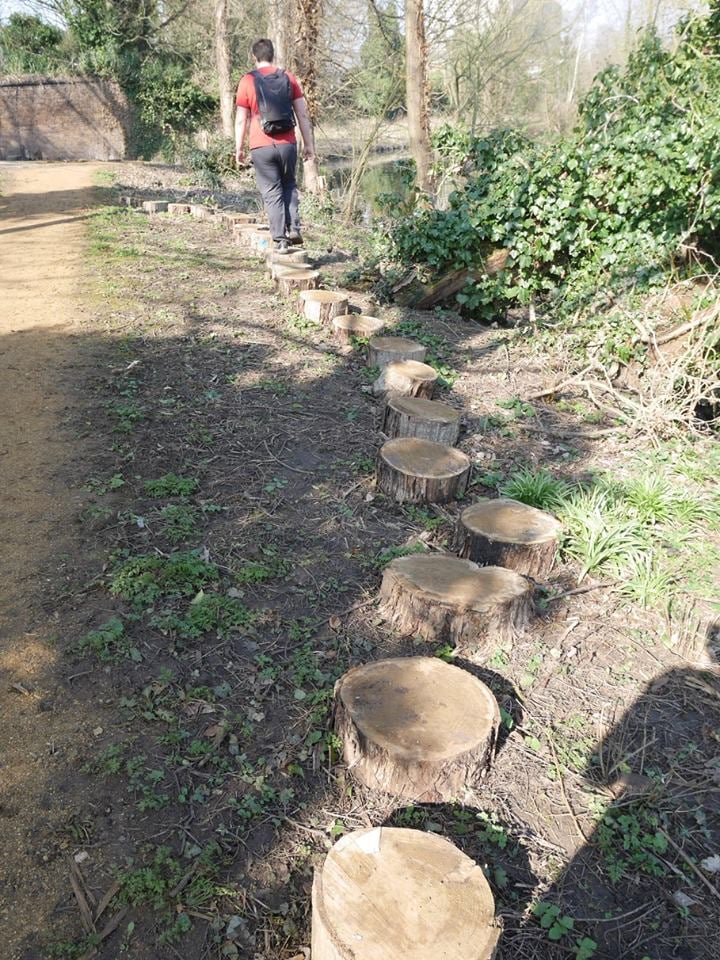 Path of logs