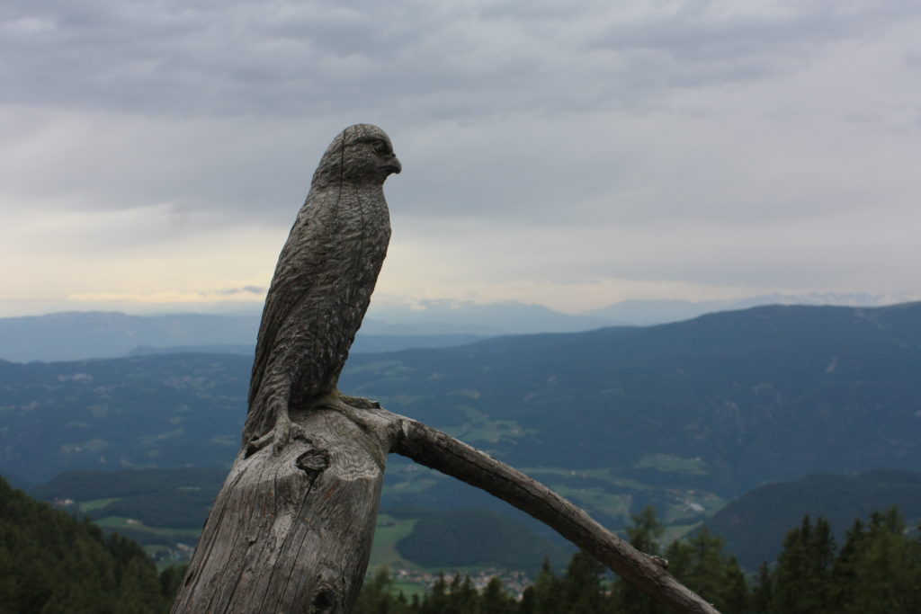 Bird sculpture watching the path