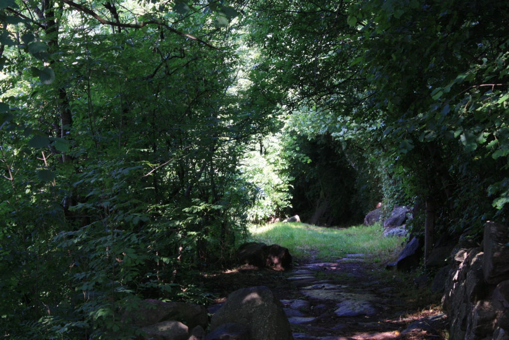 Shady path near Seis/Siuis