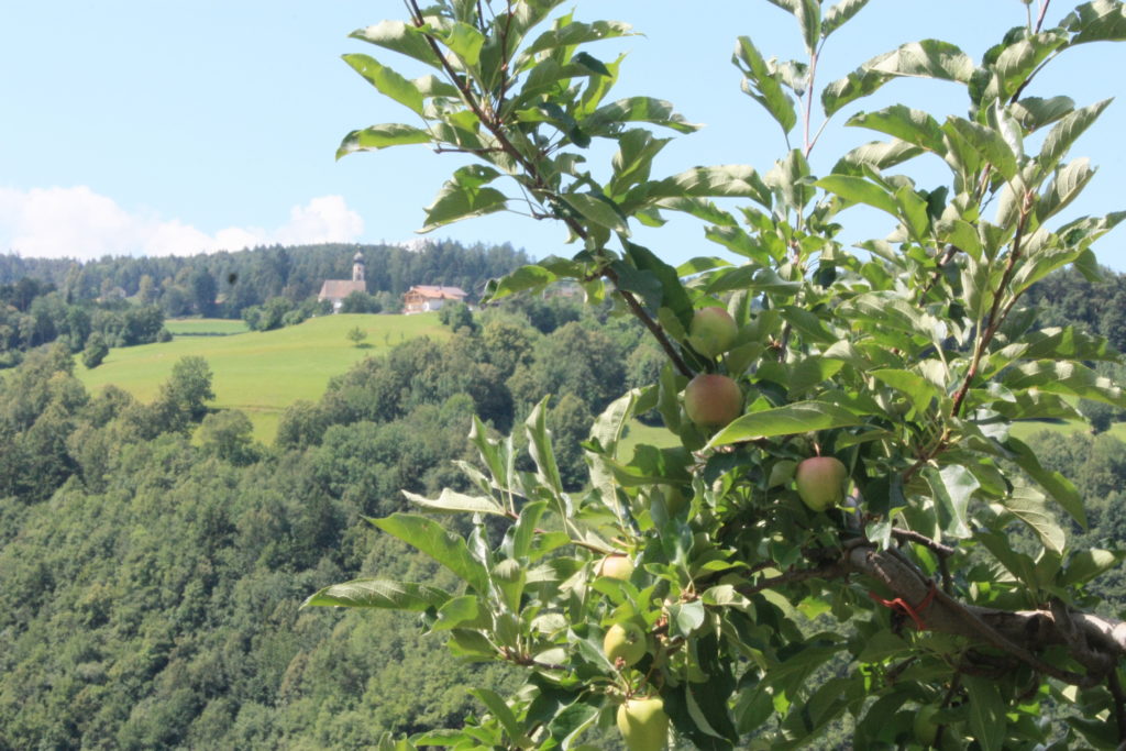 Orchard and another pretty church, St Konstantin