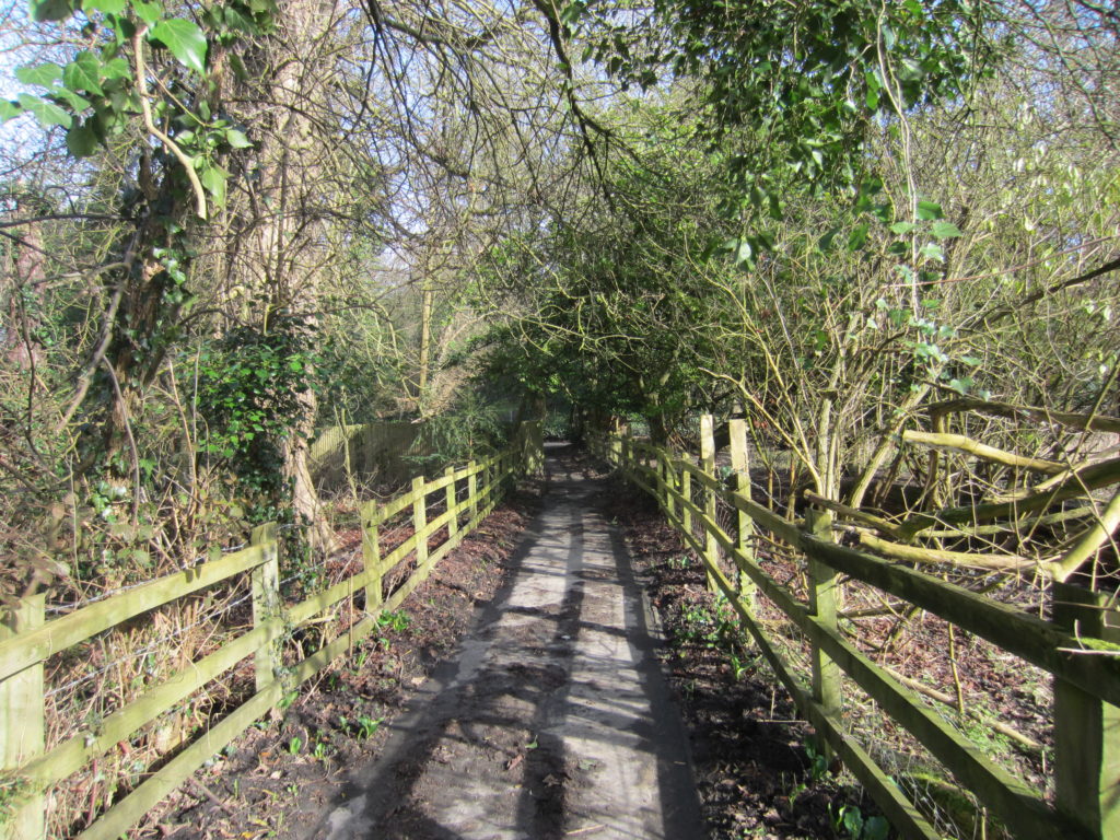 Easy to follow path