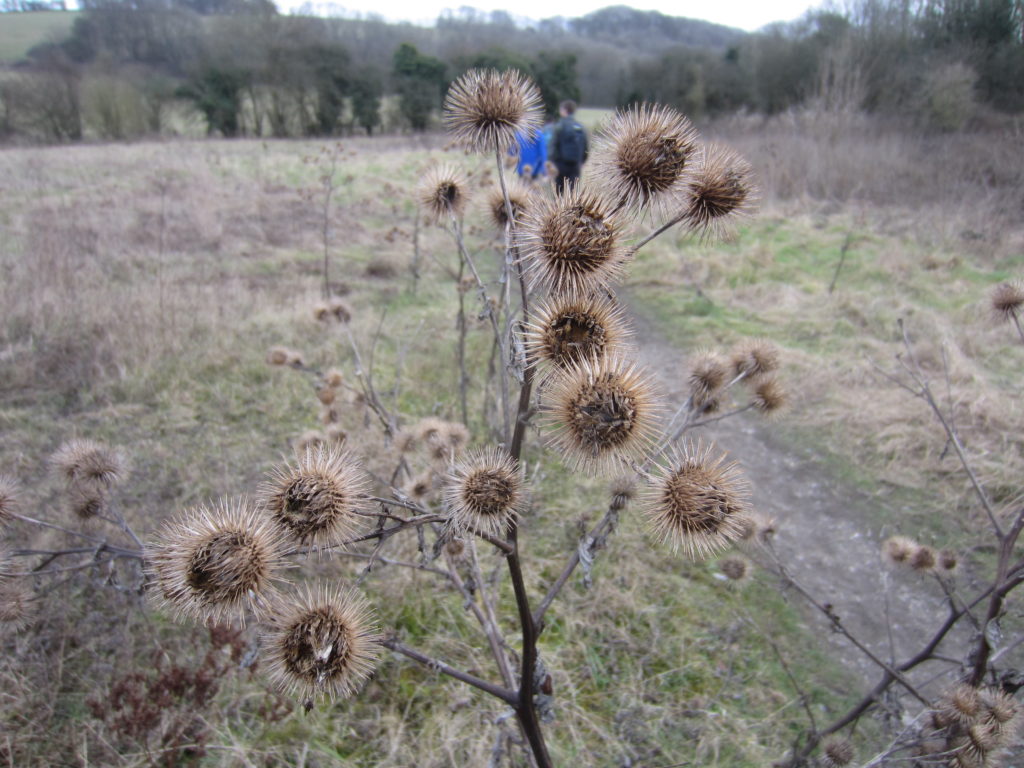 Spiky