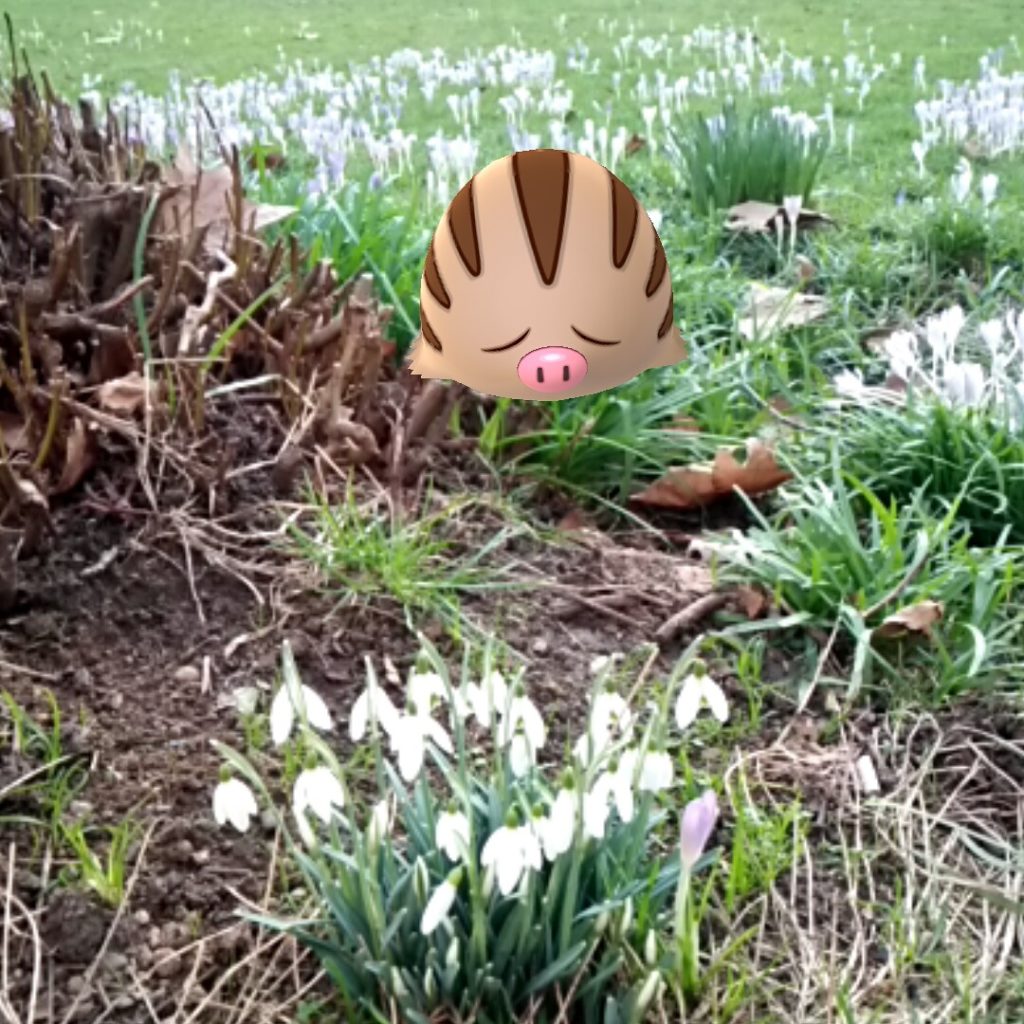 porky-slug smells spring