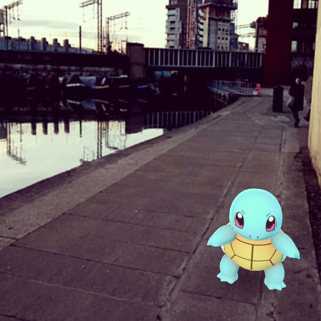 Street turtle looking for his teenage mutant cousins