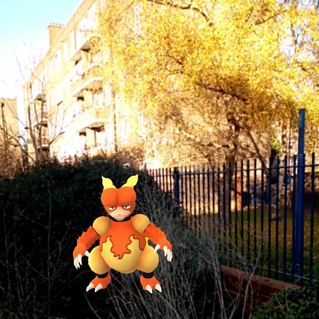 Autumn leaves look fiery