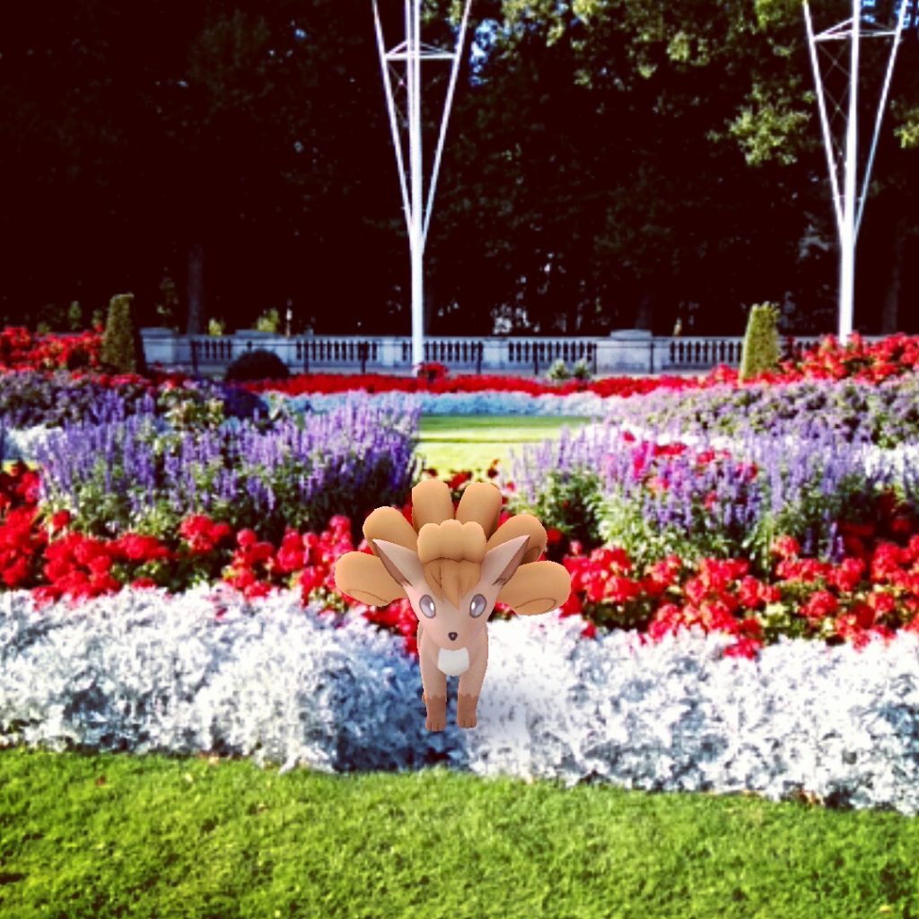 London is so full of foxes