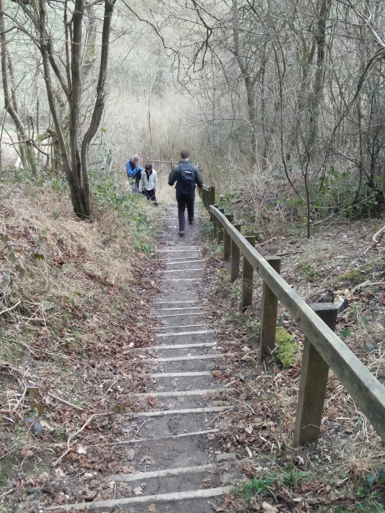 Heading down from the ridge