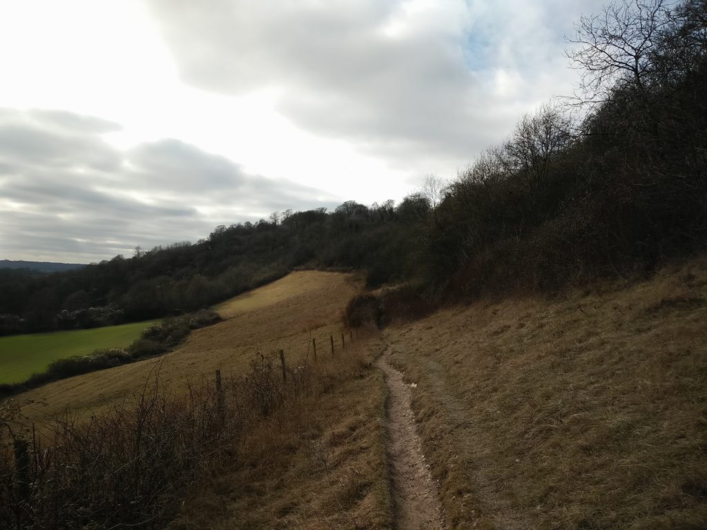 Chalky walk along the Downs