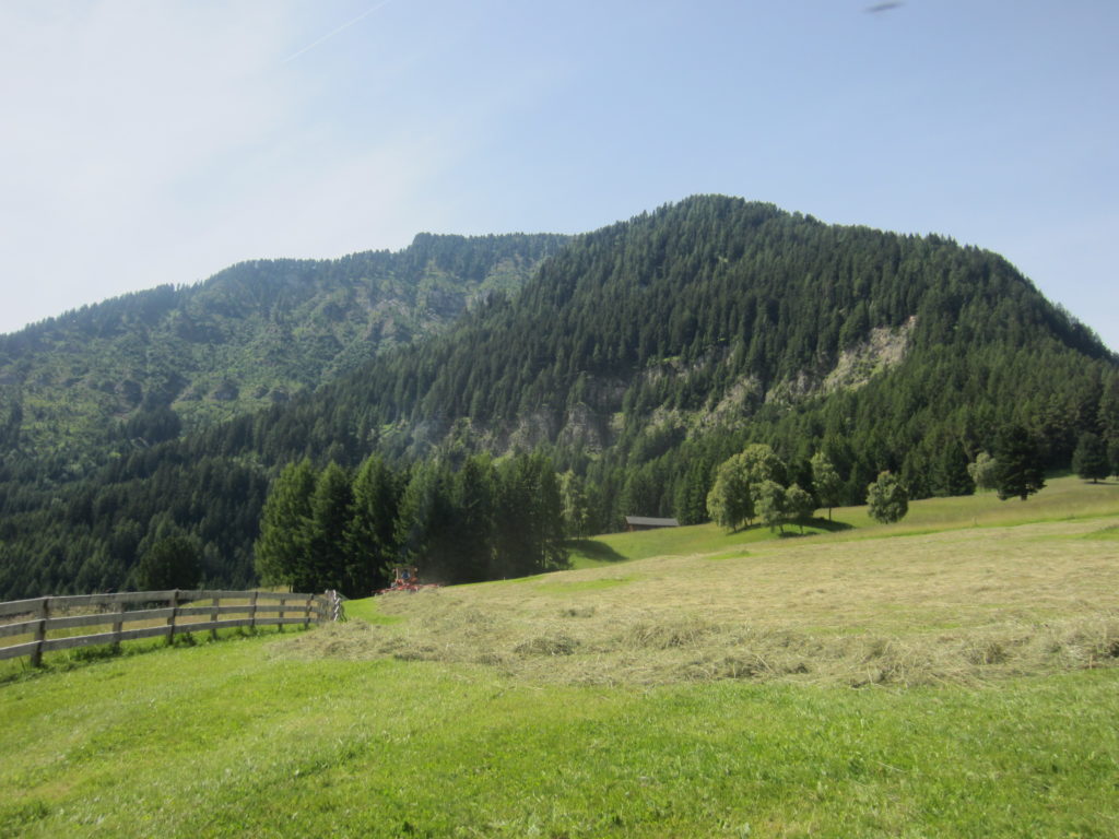 Looking up to Mount Bulacia/Puflatsch
