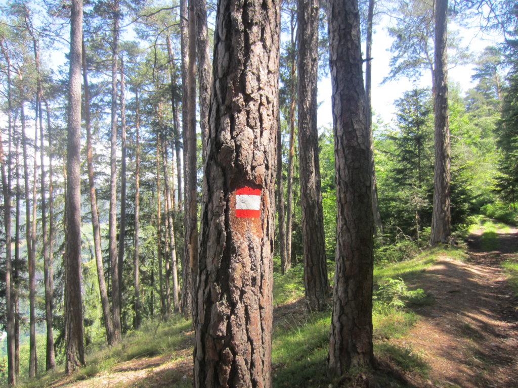 This is an official path?