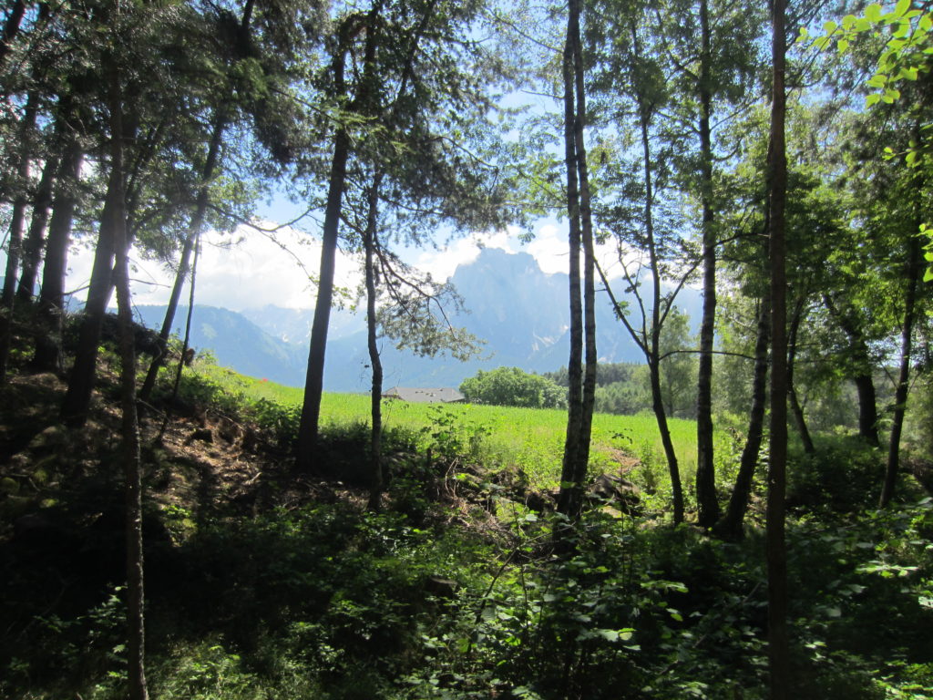 I wanted to climb Schlern/Sciliar so much...maybe that is why I took too many photos of it