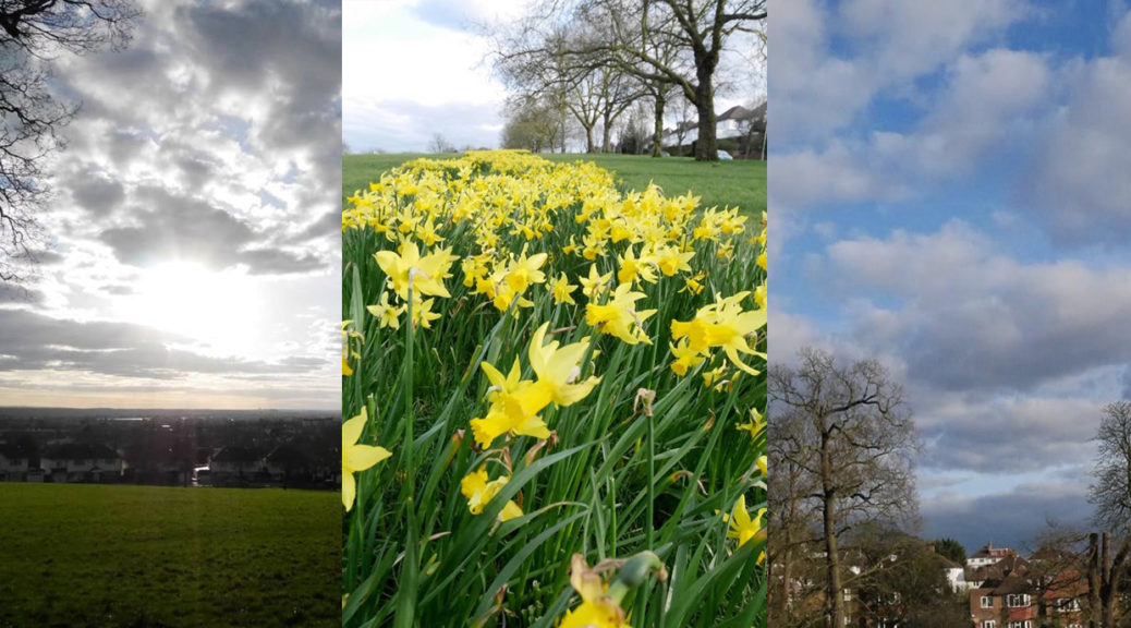 Capital Ring Crystal Palace to Streatham