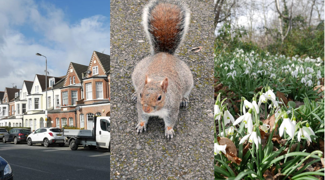 Capital Ring 5 - Streatham to Wimbledon Park