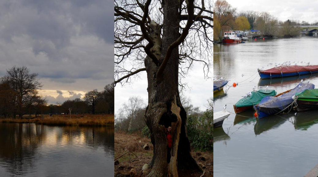 Capital ring section 6