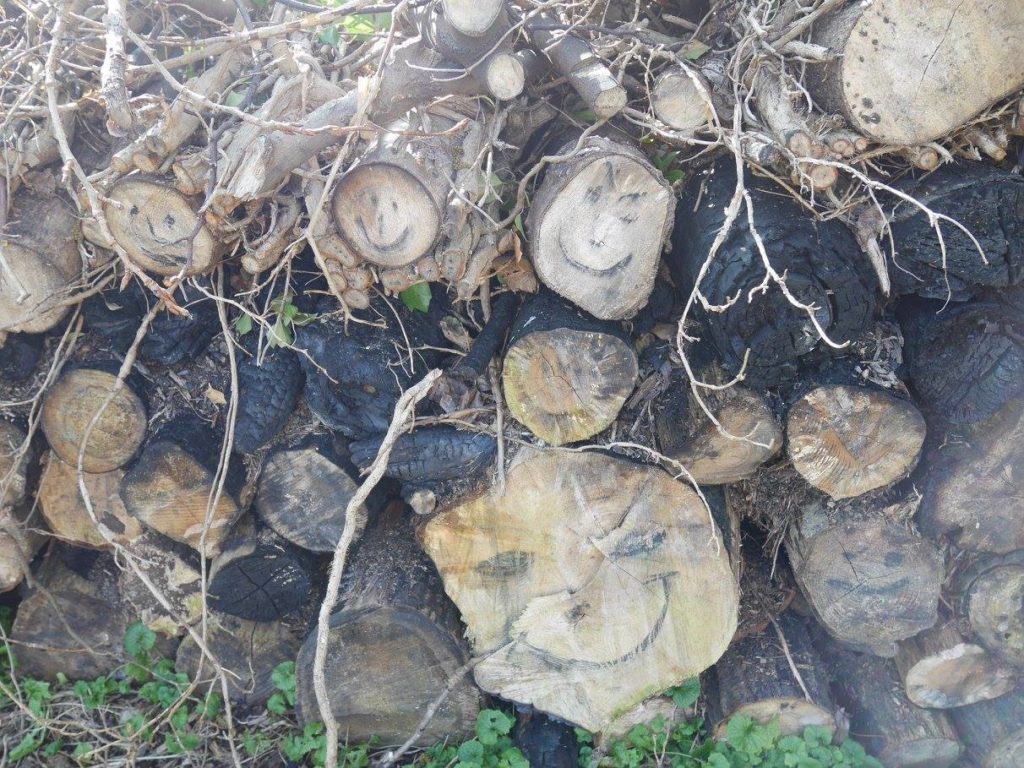 Log faces