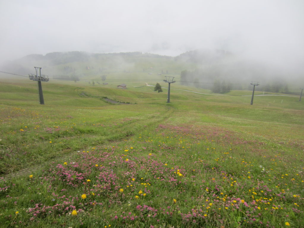 Misty, cloudy Alpe di Siusi /Seiser Alm