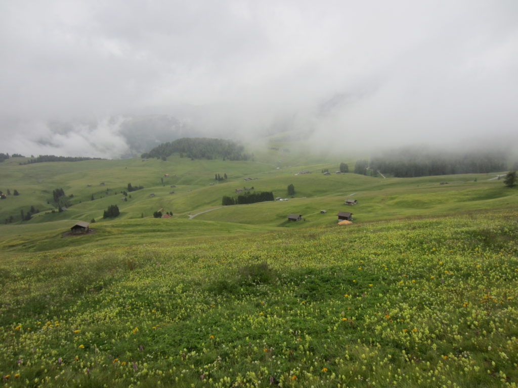 Where did all the mountains go!?