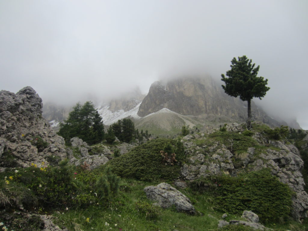 Boulder garden to the peaks