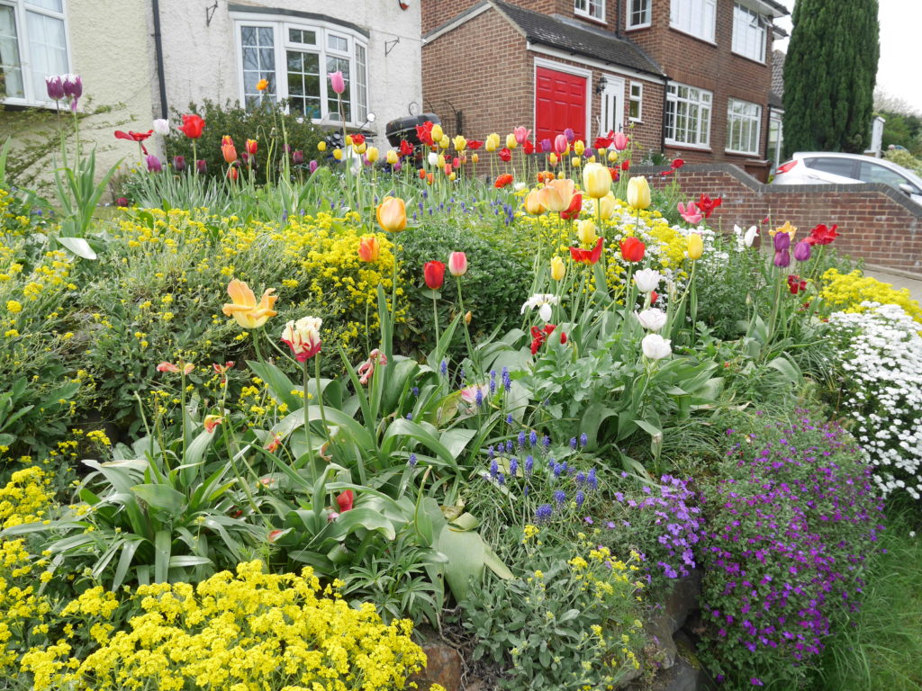 Pretty flowers on the road up to the station