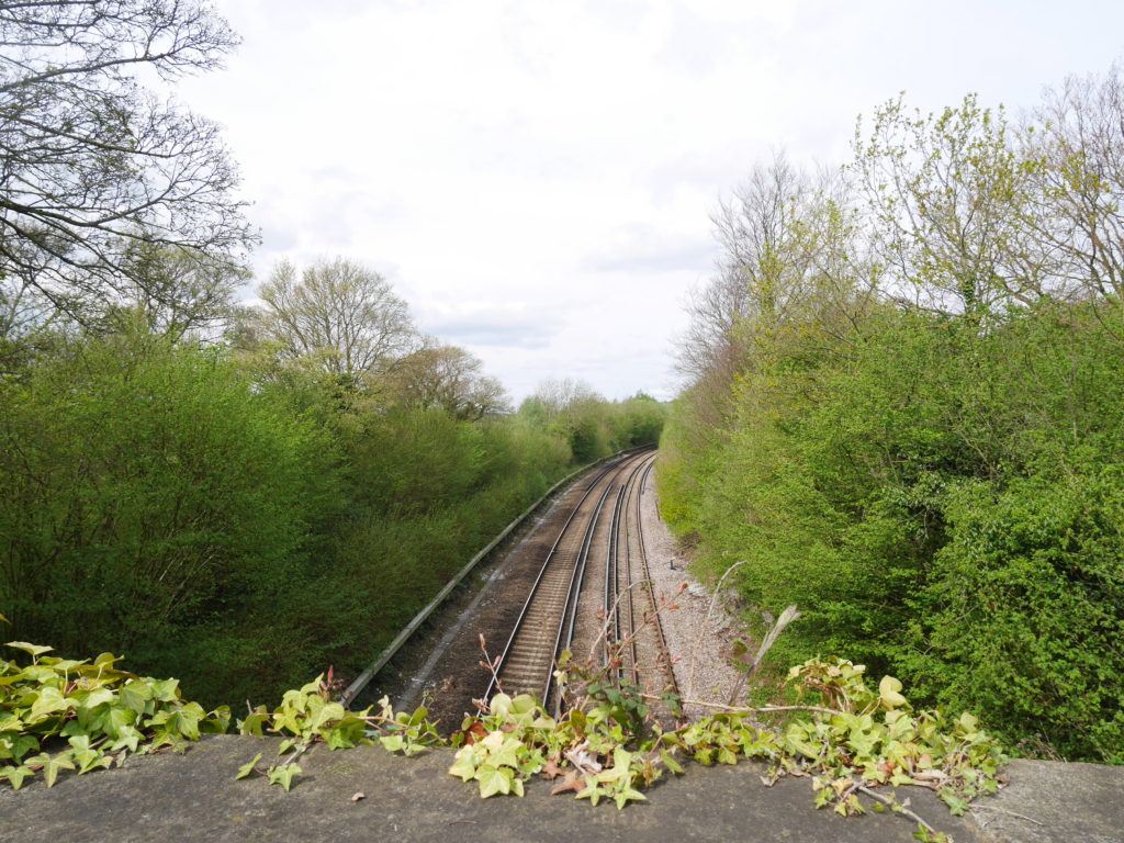 Railway line on the edge of Mill Hill wood