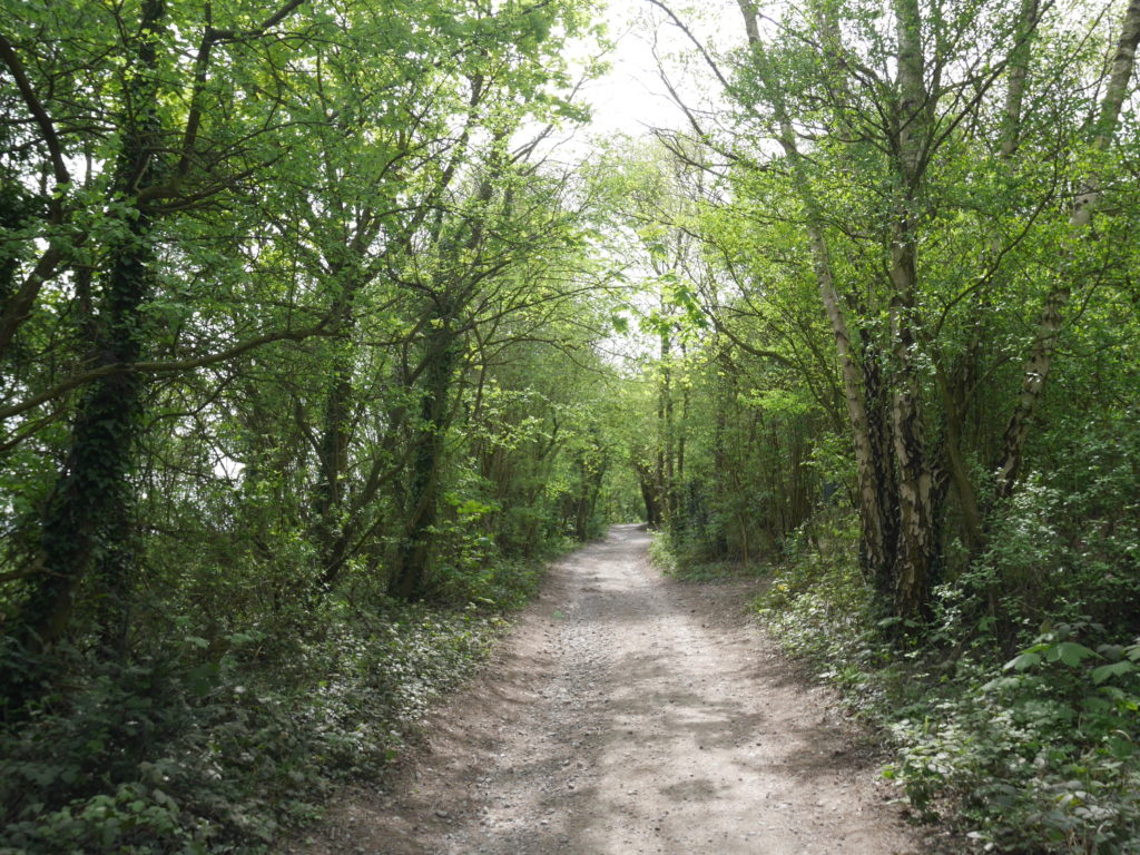The path goes through lovely woods