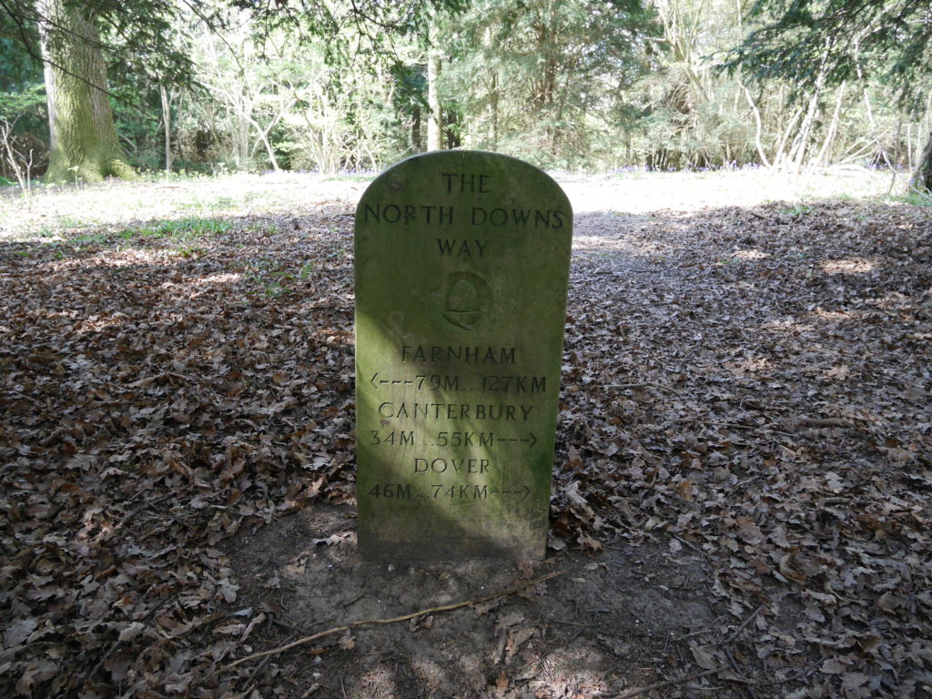 Waymarker Westfield Wood - 74 km to Dover!