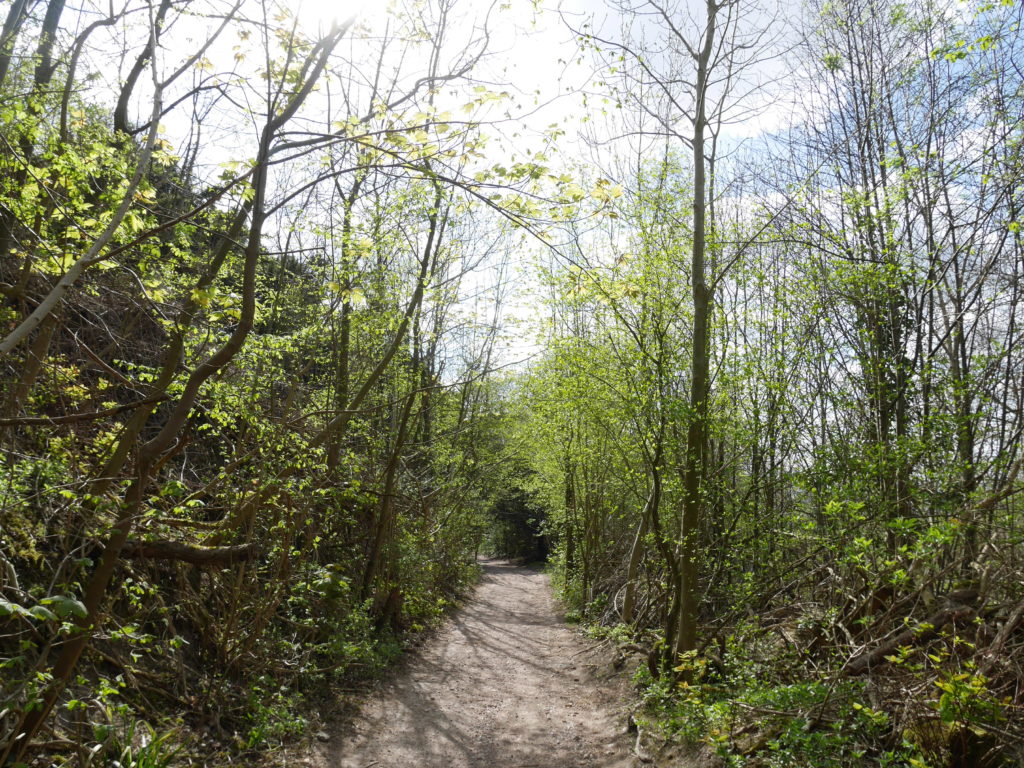The path up to Jade's crossing