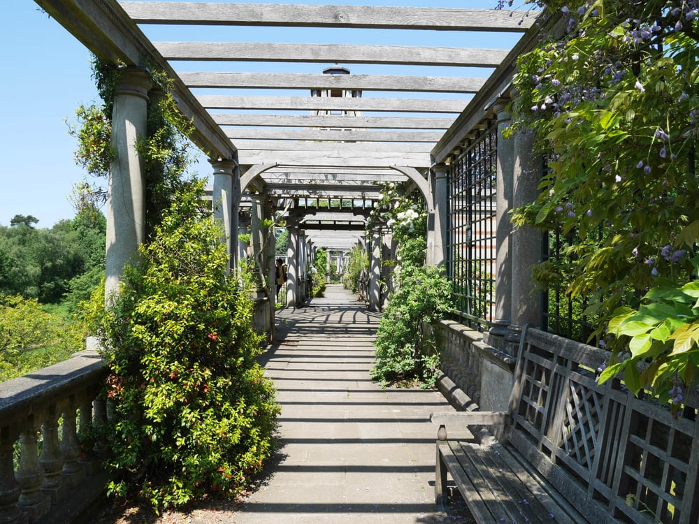 The pergola walkway
