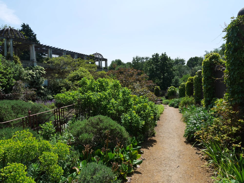Down below the pergola walk
