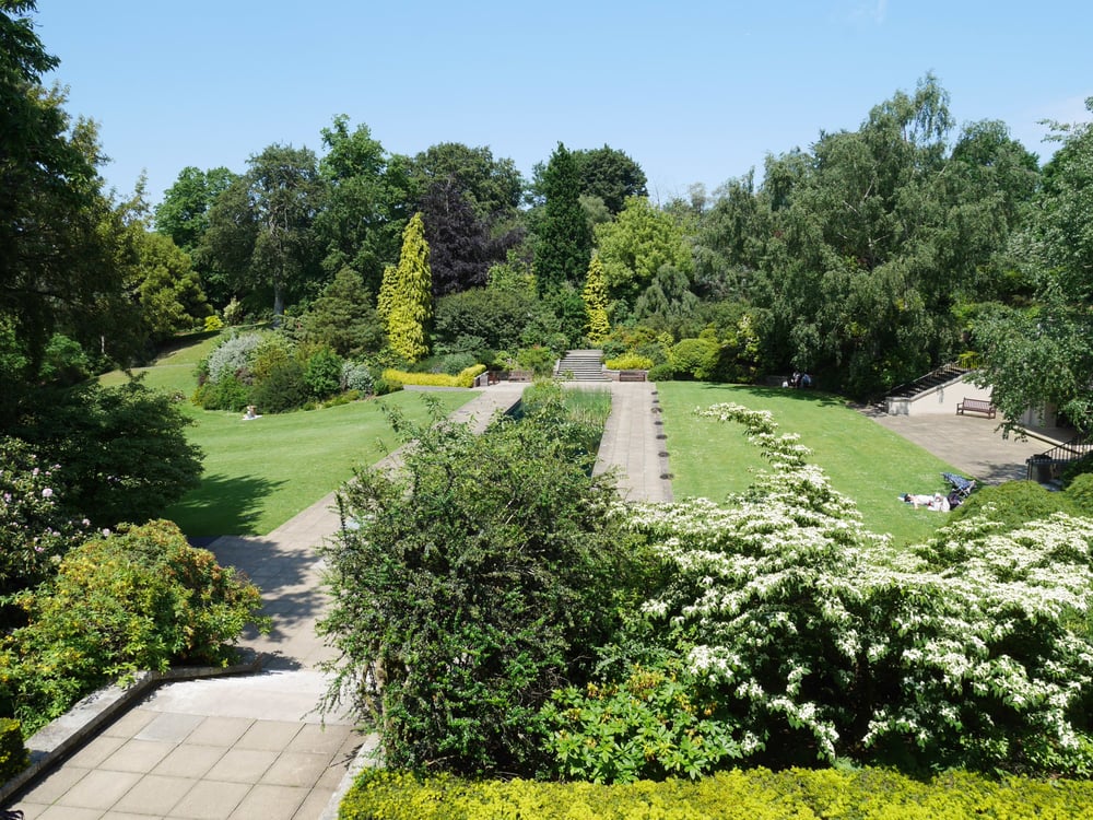 The Hill garden's pond