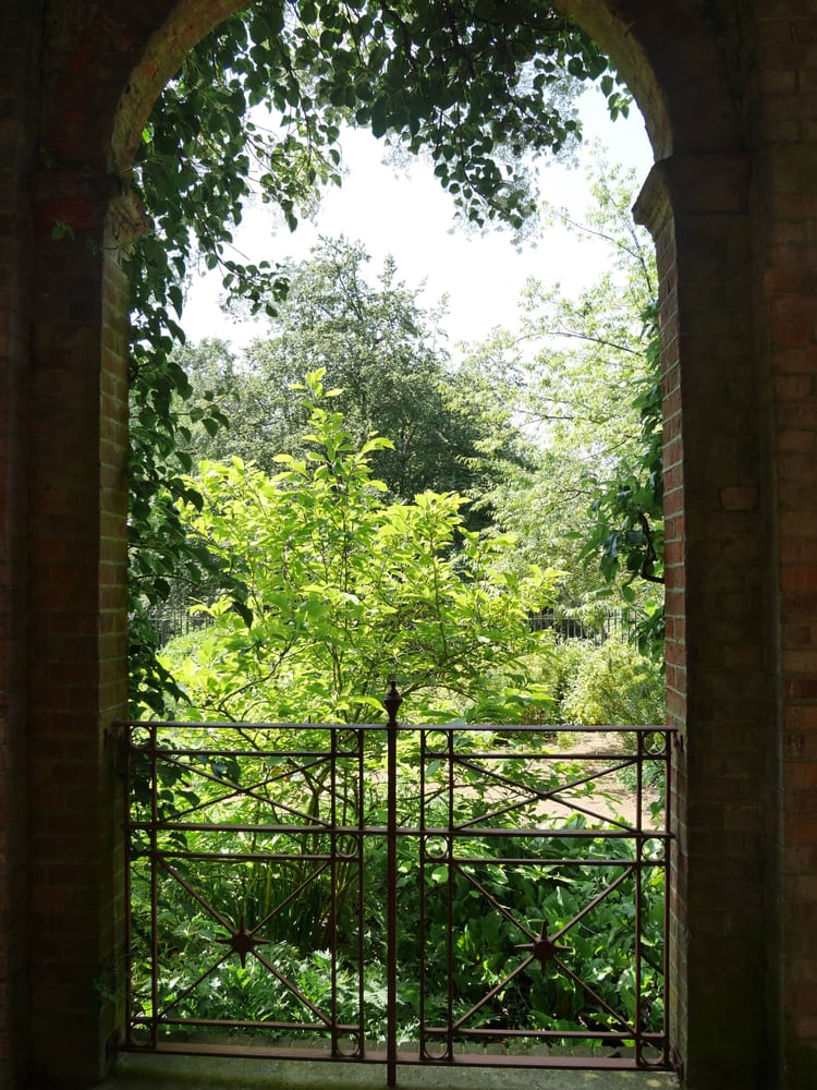 The view underneath the pergolas