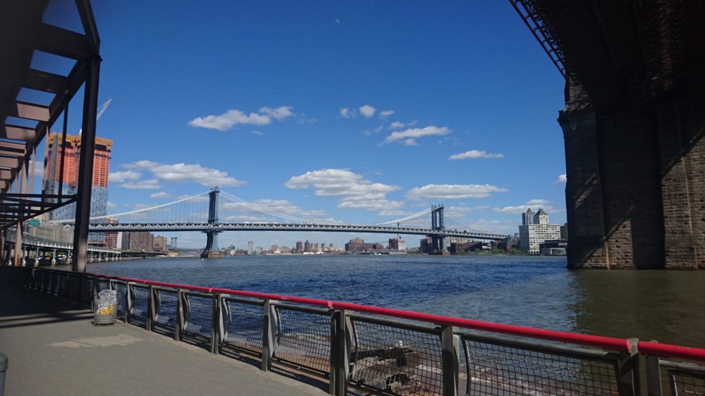 Biking NYC