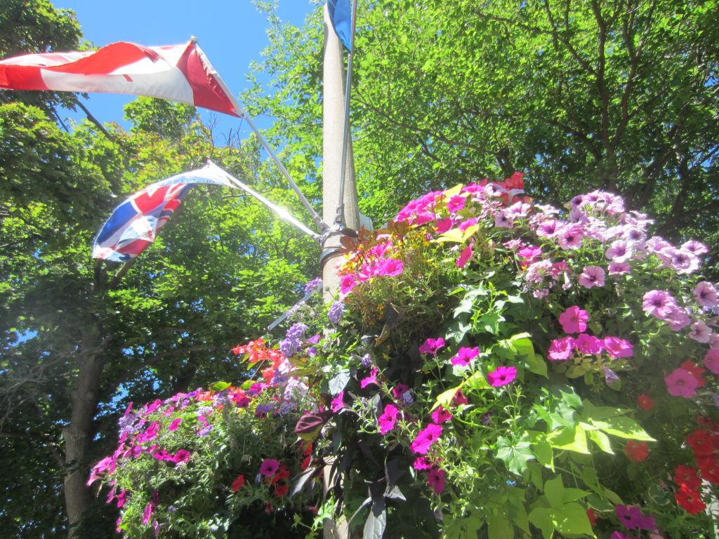 Niagara-on-the-lake flowers