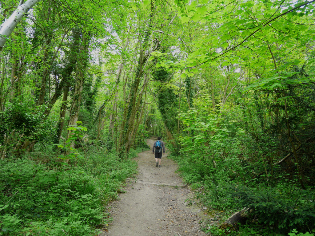 On the climb to the Wye crown