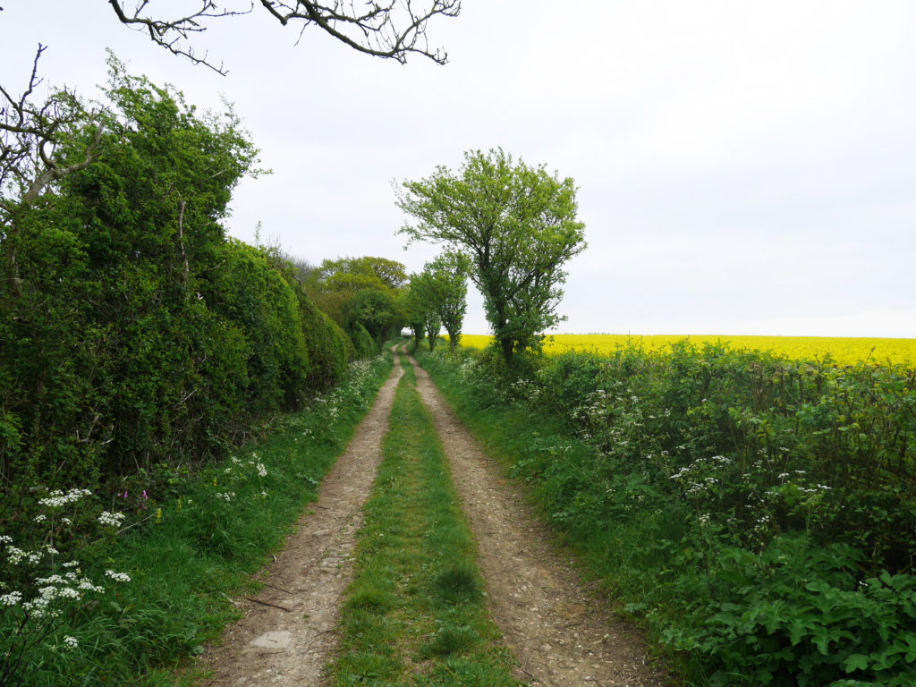 Easy to follow path!
