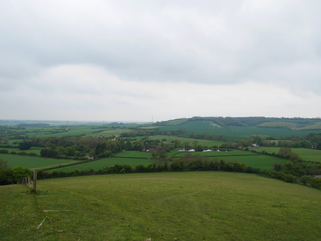 View of trout lake and Stowting