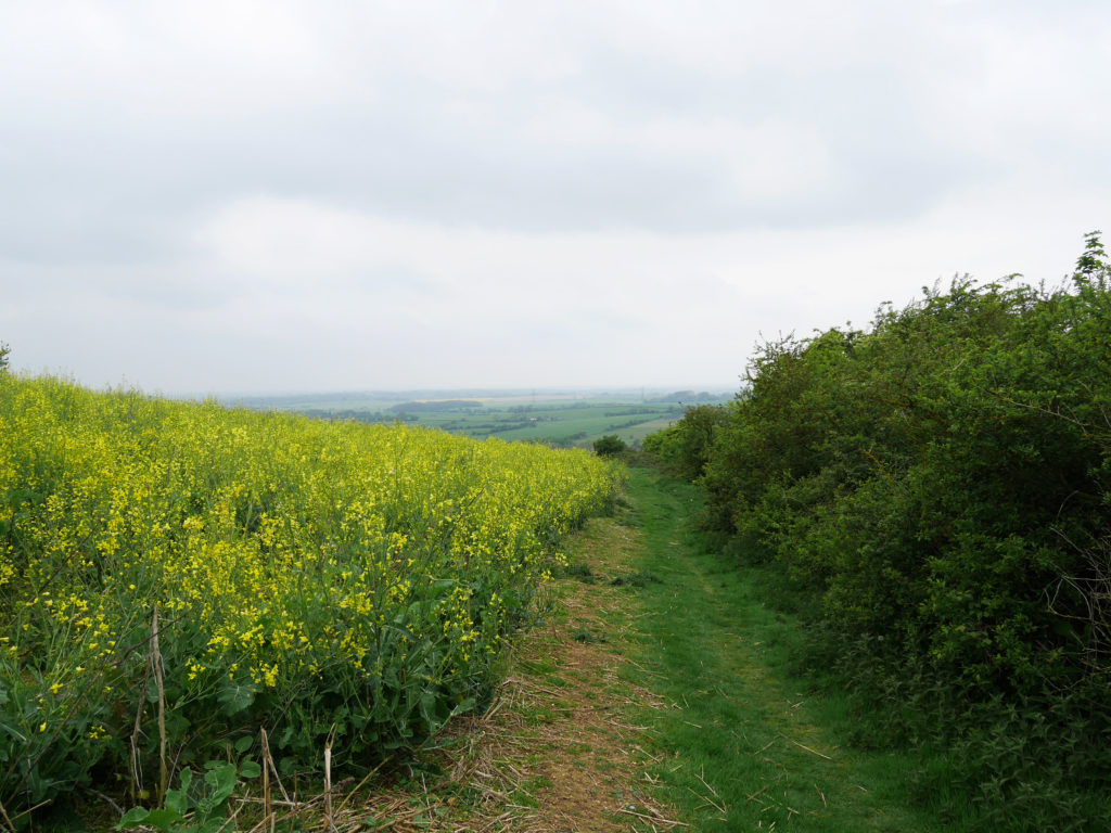 The view at the top of the hill