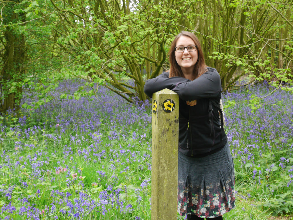 Farthing Common bluebells