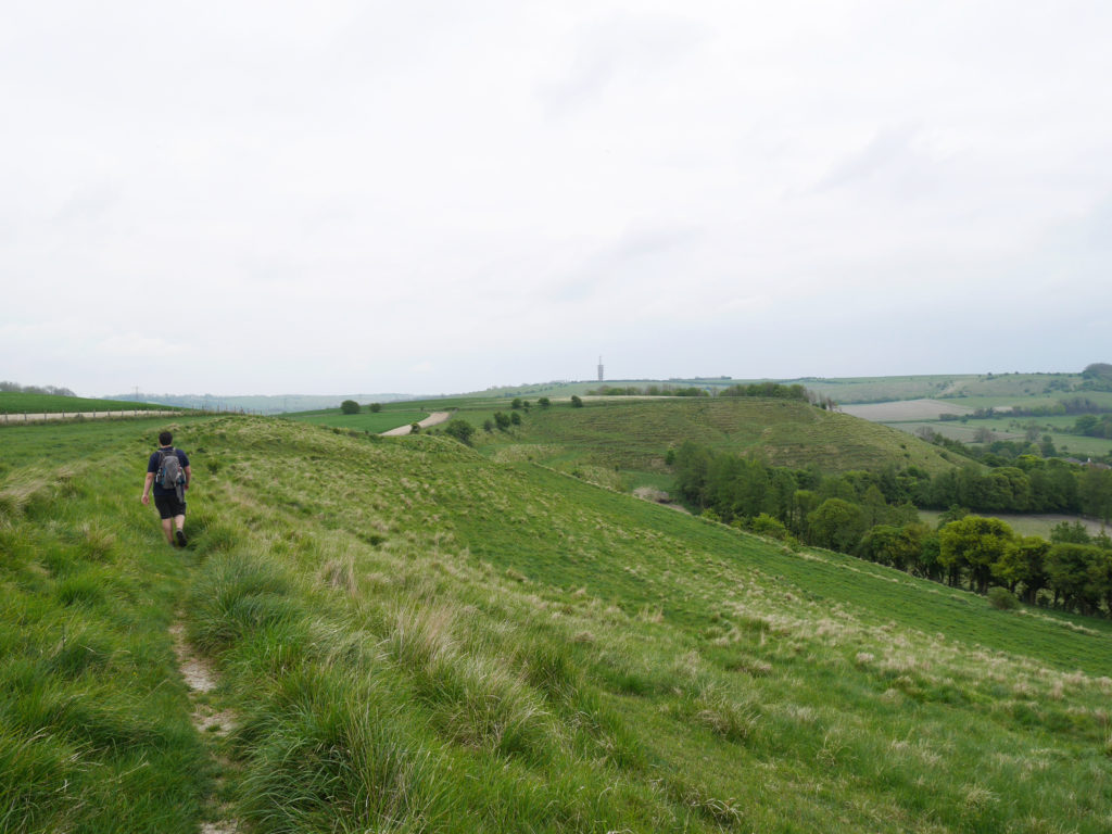 Back up from the chalk pit