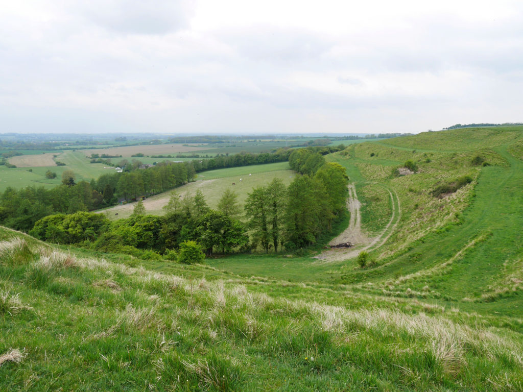 The curvy lines of the chalk pit
