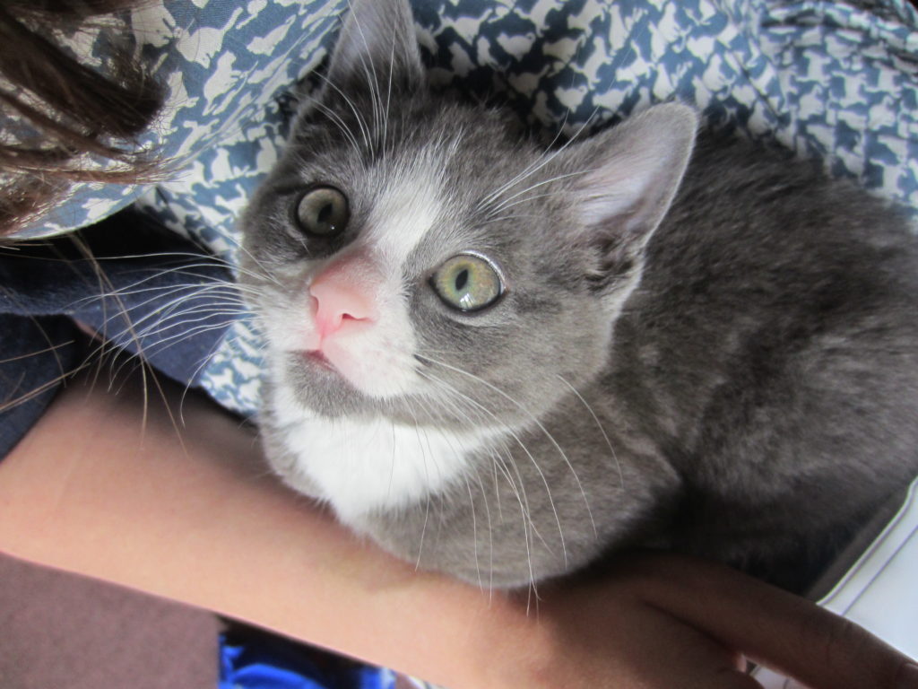 Still cute when his eyes turned green